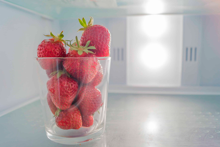 ¿Cuáles son los mejores refrigeradores No Frost en Chile?