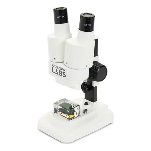 Microscopio estéreo Celestron Labs S20 — para monedas, insectos y objetos en 3D