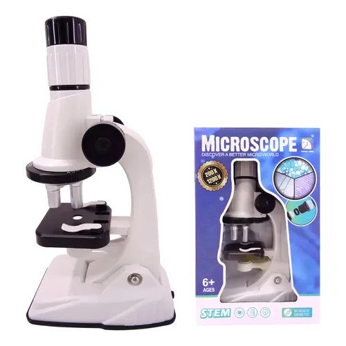 Science Horse STEAM 1200x