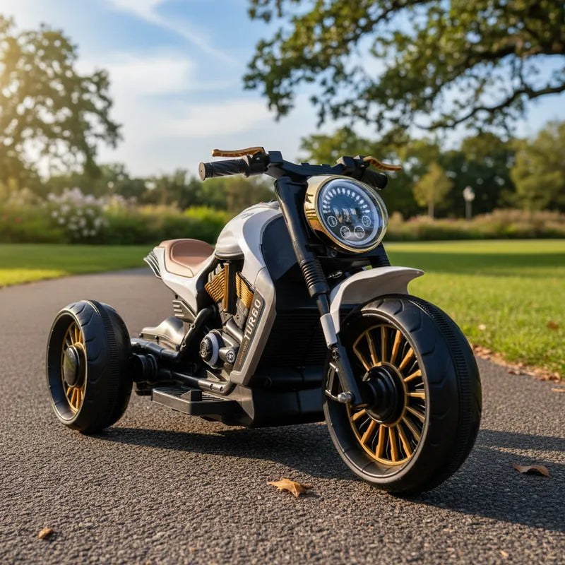 Moto 3 Ruedas Eléctrica SX