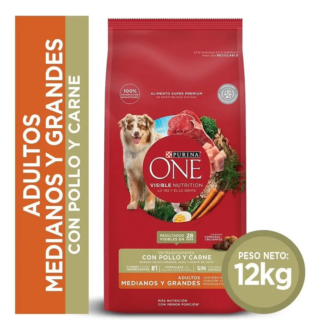 Purina ONE Adulto Mediano y Grande Pollo y Carne 12 kg
