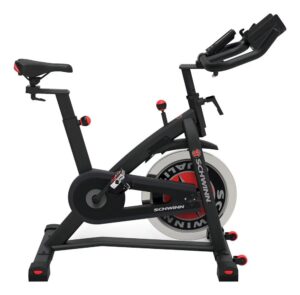Schwinn 700IC